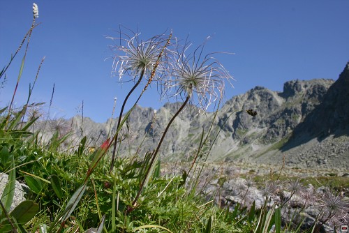 img00022.jpg