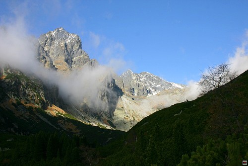 img00036.jpg