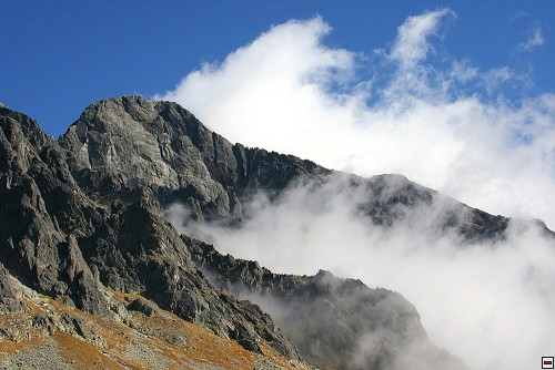 img00037.jpg