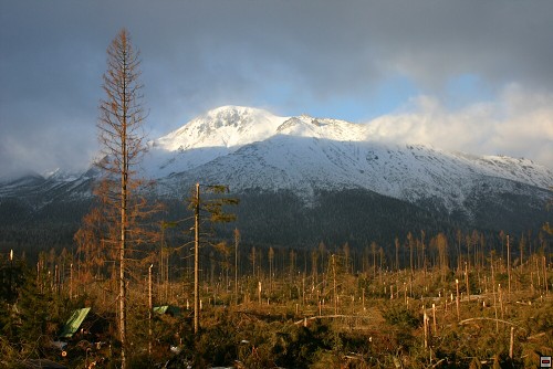 img00041.jpg
