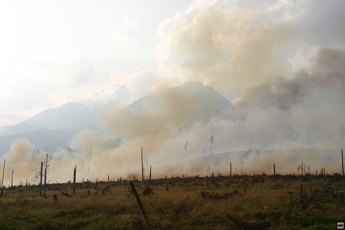 img00044.jpg