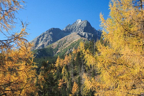 img00051.jpg