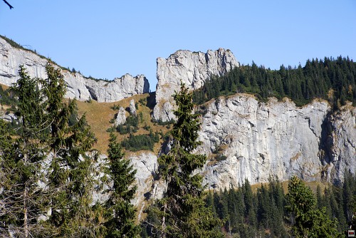 img00053.jpg