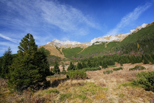 img00054.jpg