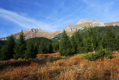 img00056.jpg