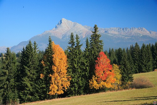 img00057.jpg