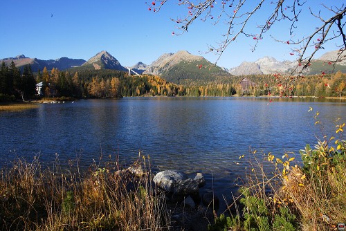 img00058.jpg