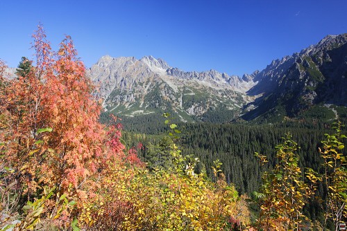 img00060.jpg