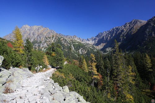 img00061.jpg