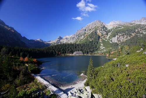 img00064.jpg