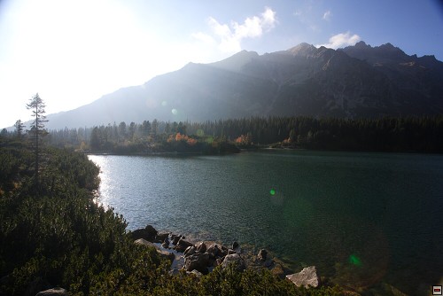 img00065.jpg