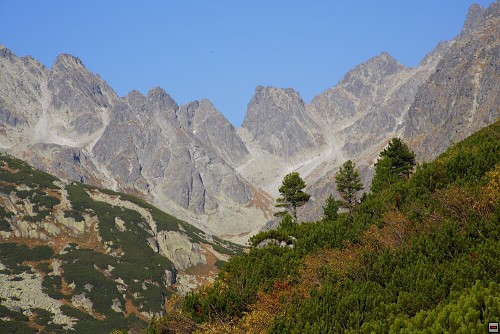 img00066.jpg