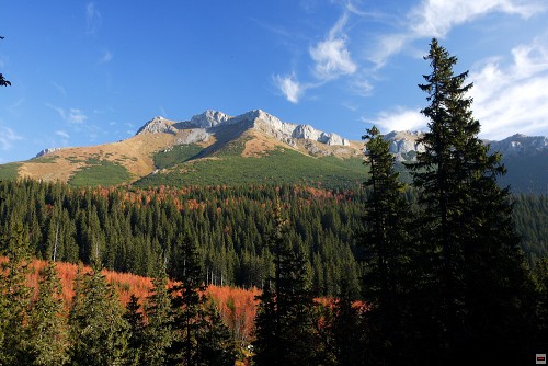 img00067.jpg