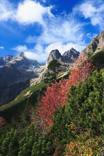 img00070.jpg