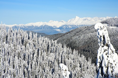 img00072.jpg