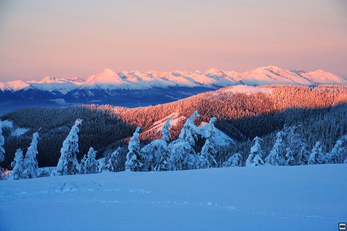 img00073.jpg