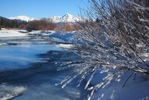 img00074.jpg