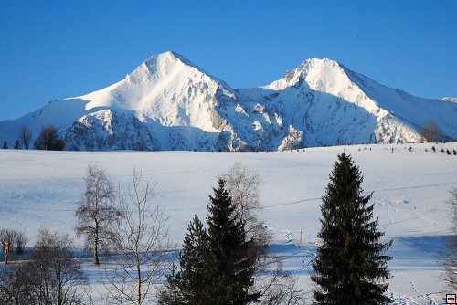 img00075.jpg
