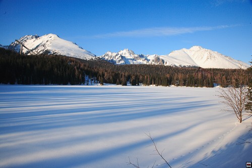 img00081.jpg