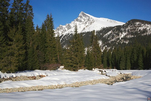img00084.jpg