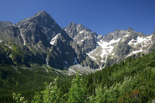 img00086.jpg
