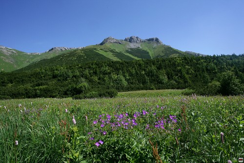 img00087.jpg