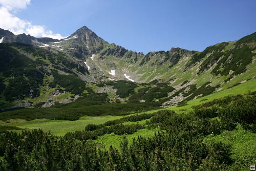 img00088.jpg