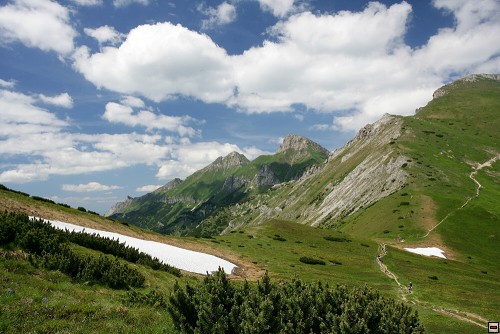 img00089.jpg