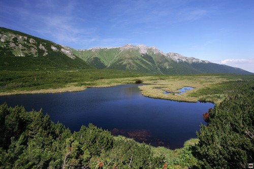 img00090.jpg