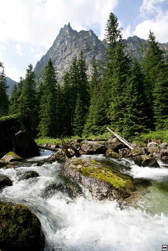 img00095.jpg