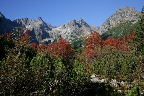 img00096.jpg