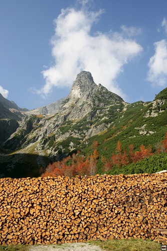 img00098.jpg
