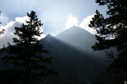 img00099.jpg