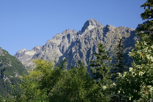 img00101.jpg