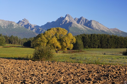 img00112.jpg