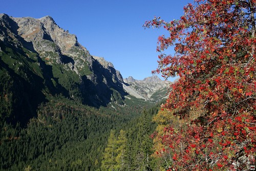 img00113.jpg