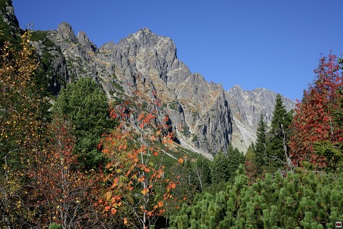 img00114.jpg