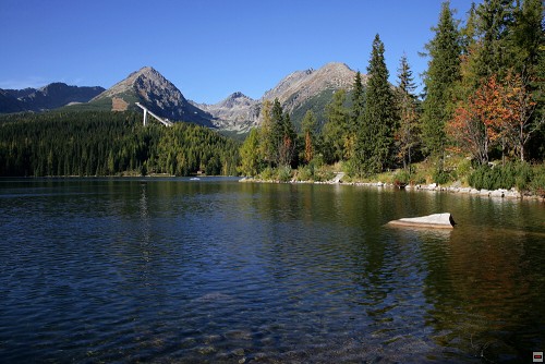img00116.jpg