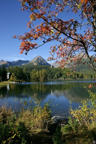 img00117.jpg