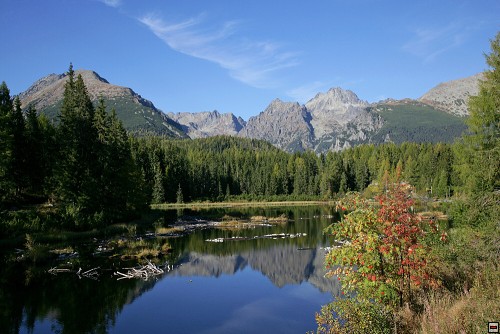 img00119.jpg