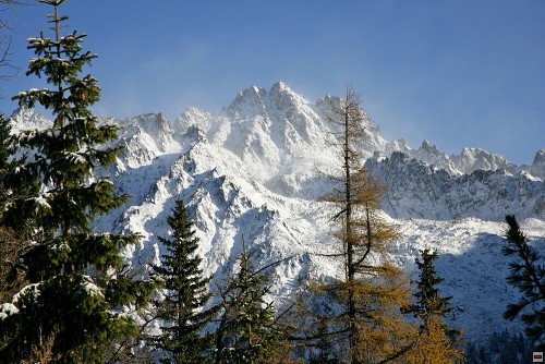 img00120.jpg