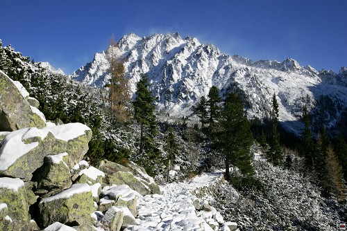 img00121.jpg