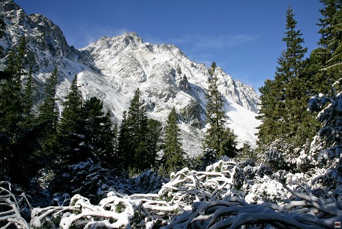 img00122.jpg