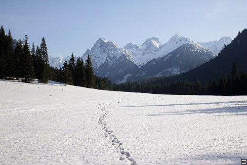 img00132.jpg