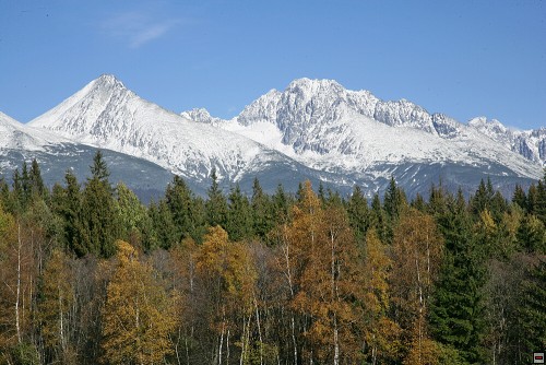 img00135.jpg