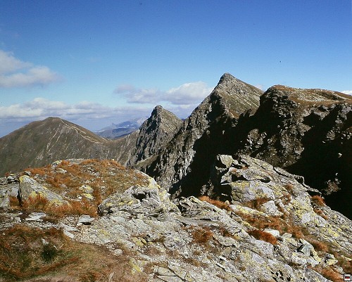 img00004.jpg