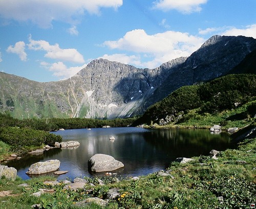 img00005.jpg