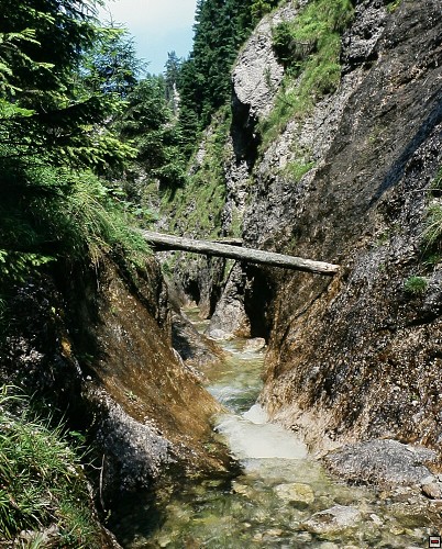 img00006.jpg