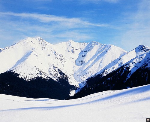 img00010.jpg