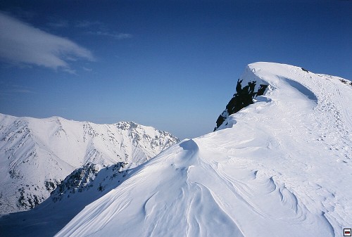 img00011.jpg
